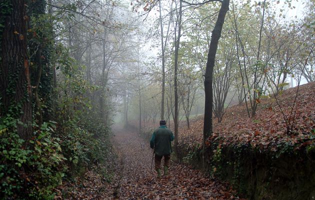 truffle hunting