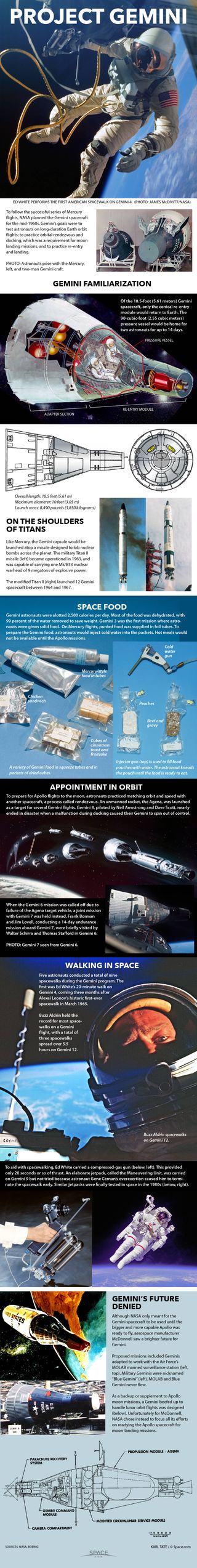 Paving the way for Apollo's missions to the moon, the Gemini program provided much-needed experience for astronauts in space. See how NASA's Gemini spacecraft worked in our full infographic.