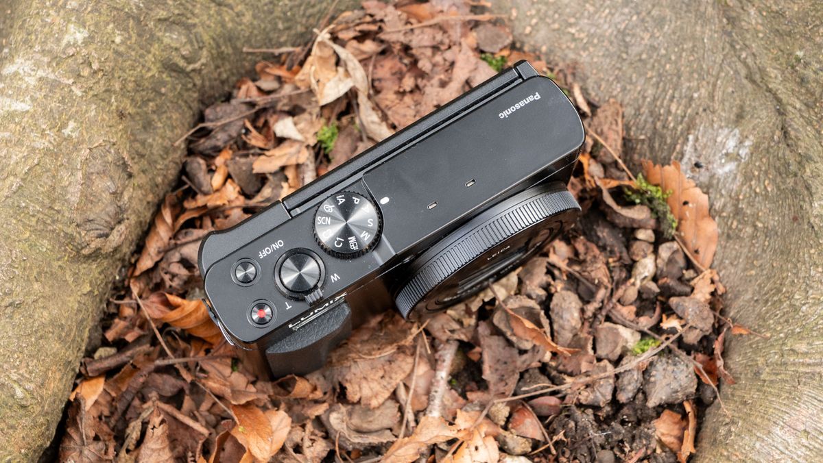 An image of the Panasonic Lumix ZS99 / TZ99