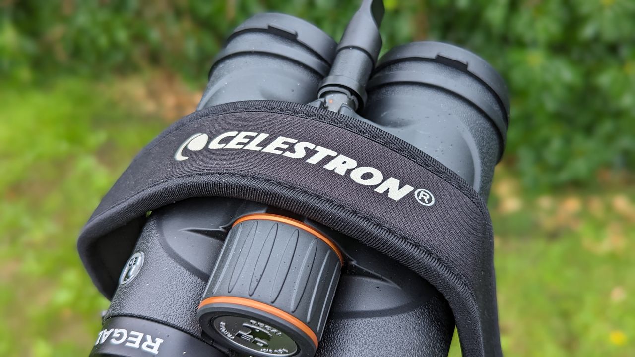 Binoculars with green foliage backdrop
