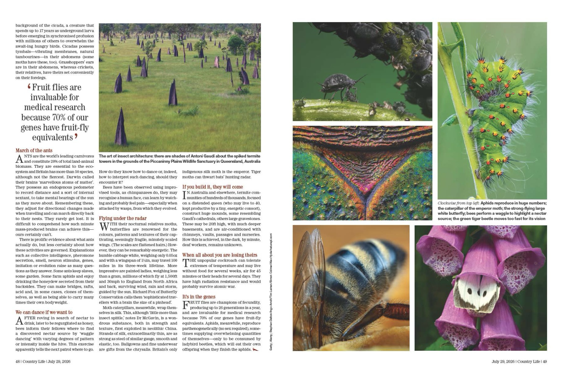 Spread from Country Life July 29, 2026
