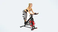 Best home gym equipment: Sunny Health & Fitness Bike
