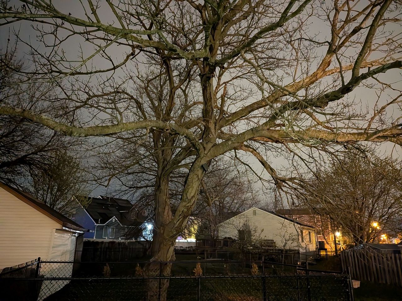 Google Pixel 9a low light sample.