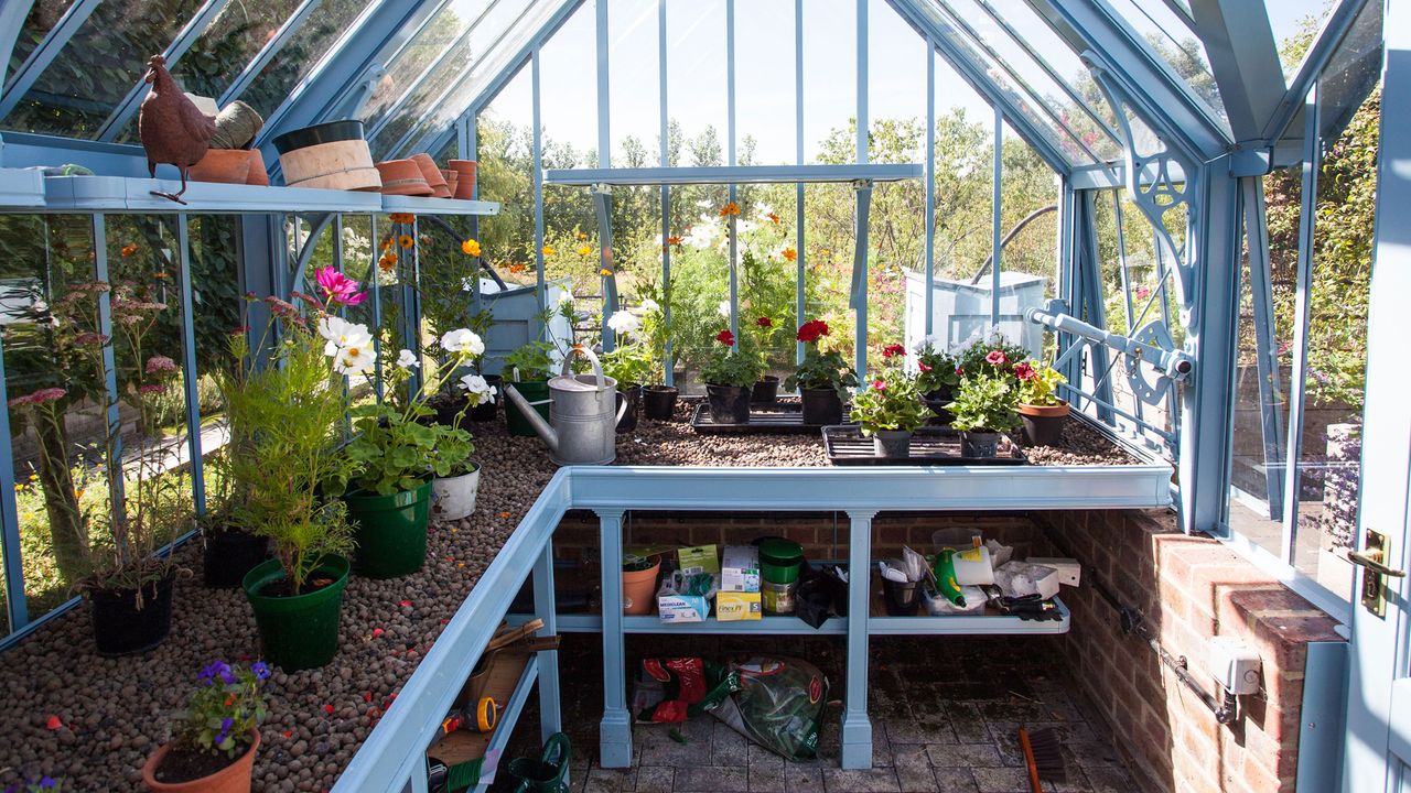 greenhouse shelving ideas