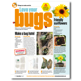 Bug hotel magazine page