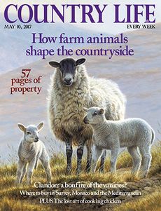 Country Life May 10 2017