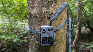 The Zeiss Secacam 7 trail camera attached to a tree