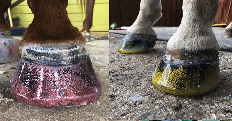 FormaHoof Pick your colour