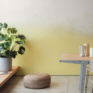 Lemon Squash coloured wall behind pot plant and table and chairs