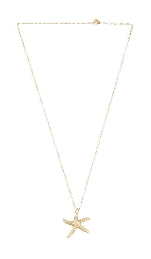 Starfish Link Chain Necklace