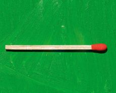 WAL318.end_paper.DSC1065copy_cmyk