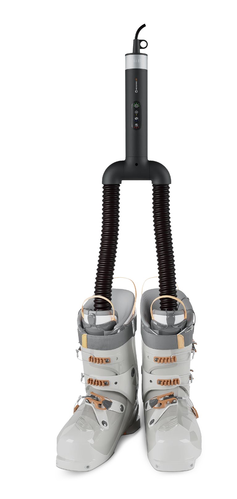 TTT381.feat_main_outdoors.hedghog