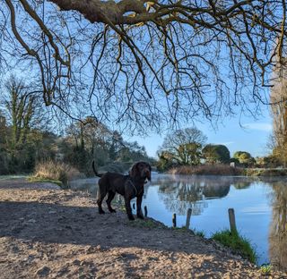 Wilf taking in the stunning vaiew of the River Itchen. Captured on a Google Pixel 6 Pro.