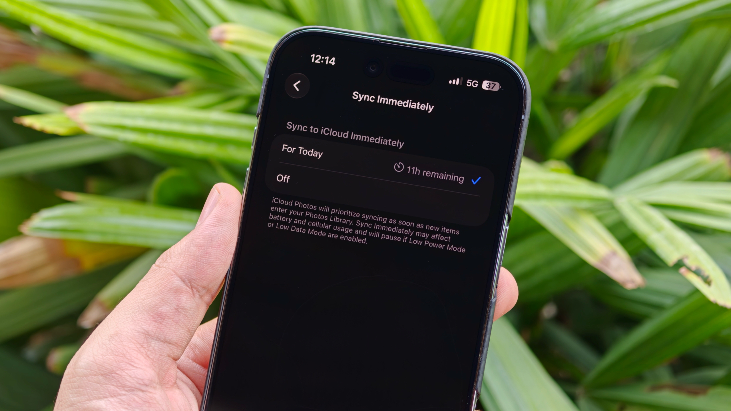 Hands on with various iOS 27 features