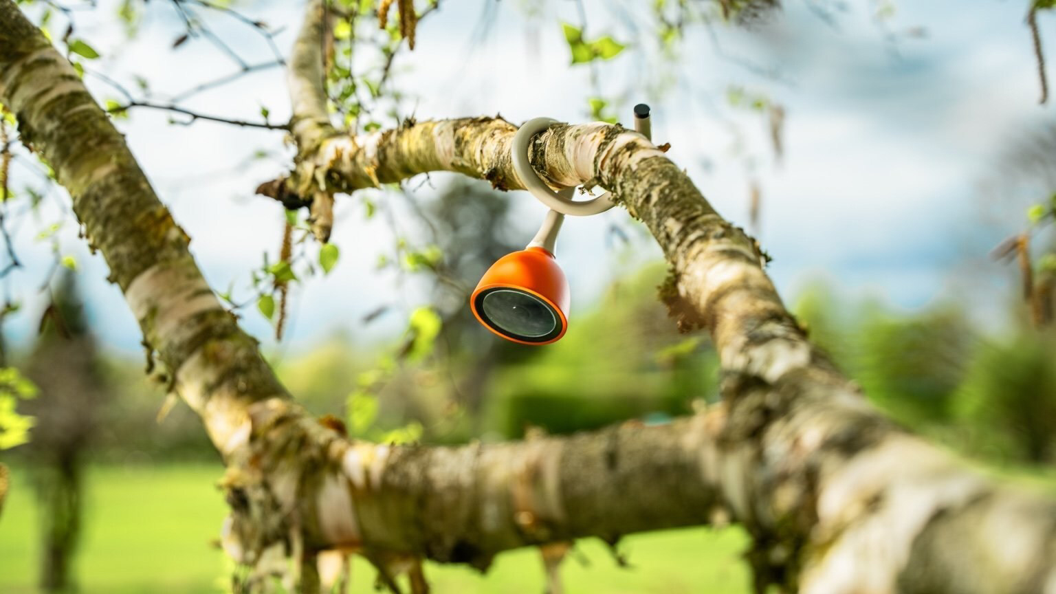 The Wonder Blocks is a backyard ecosystem designed to attract and monitor birds and bugs