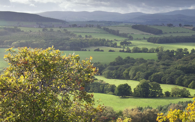 Cheviot hills