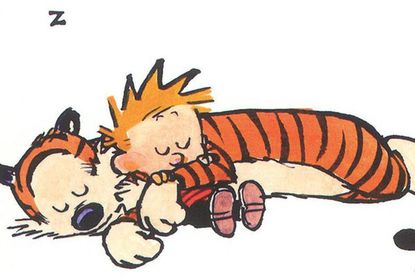 'Calvin and Hobbes' creator emerges from retirement to guest-draw on syndicated strip