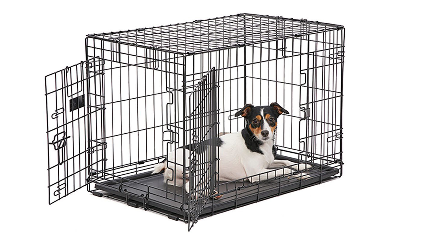 Kong Crate