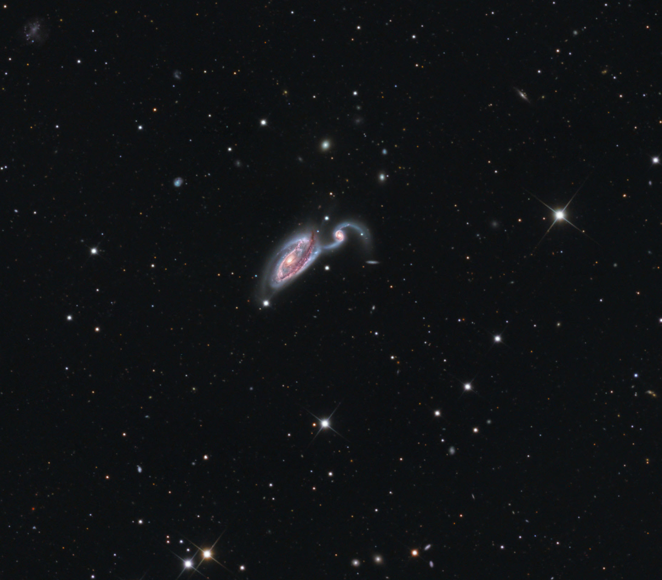 Heron Galaxy Skywatching Snyder