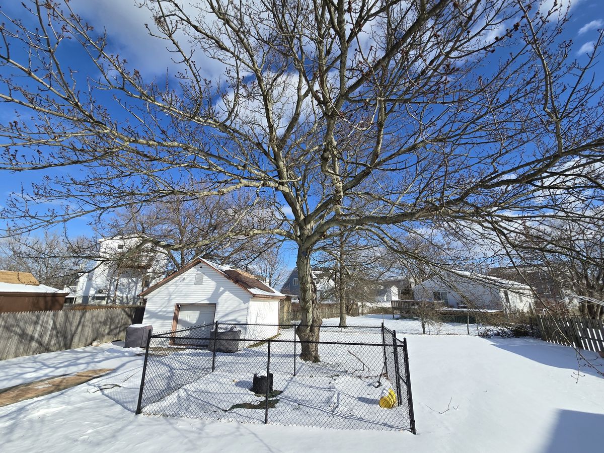 Samsung Galaxy S24 Ultra Ultrawide Camera Samples.