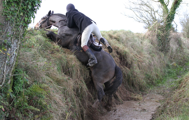 Scarteen Hunt in Ireland 25 11 2014