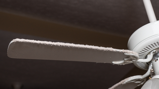 Dust on ceiling fan blade