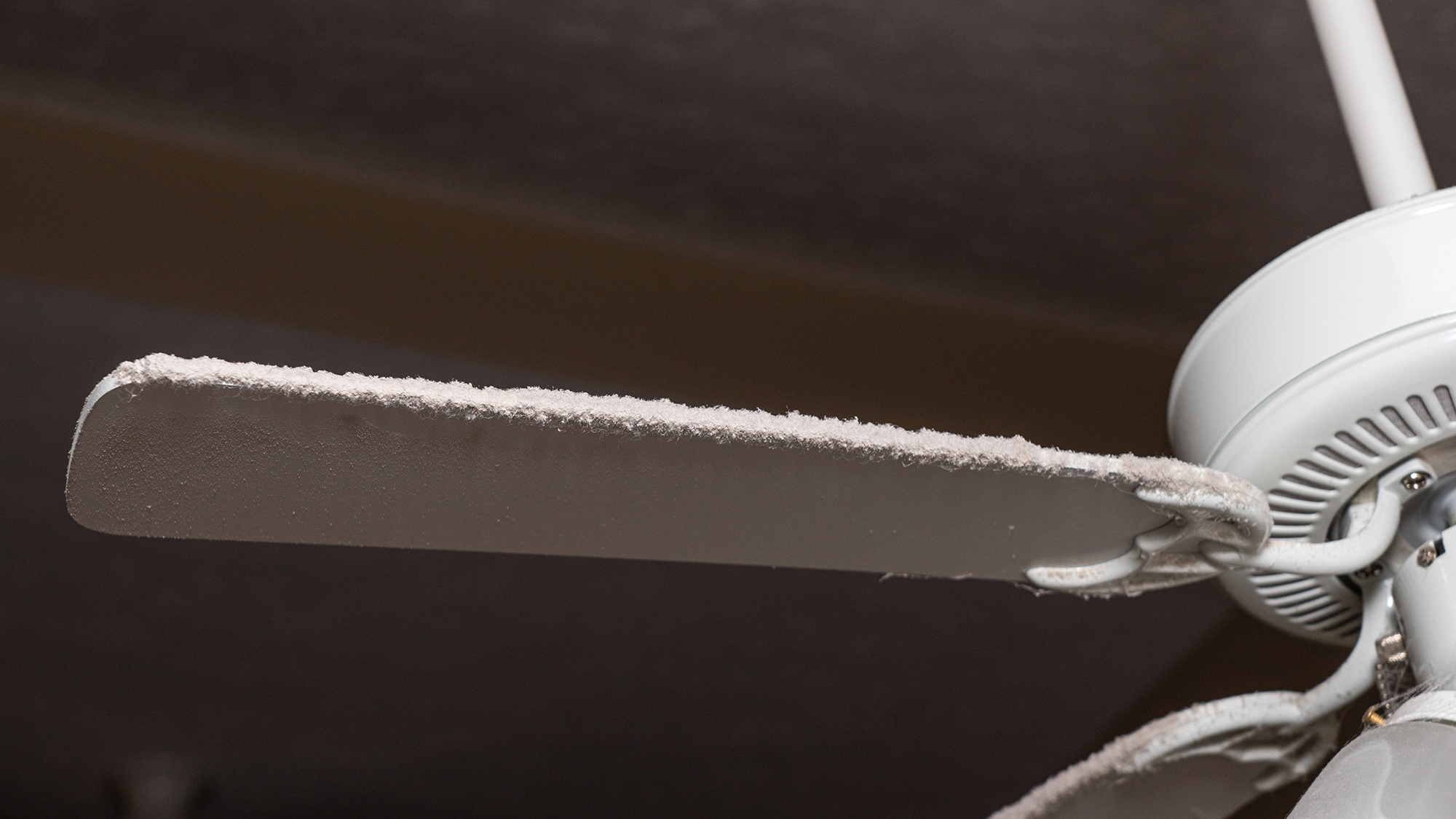 Dust on ceiling fan blade