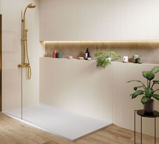 neutral bathroom with walk in shower and alcove storage