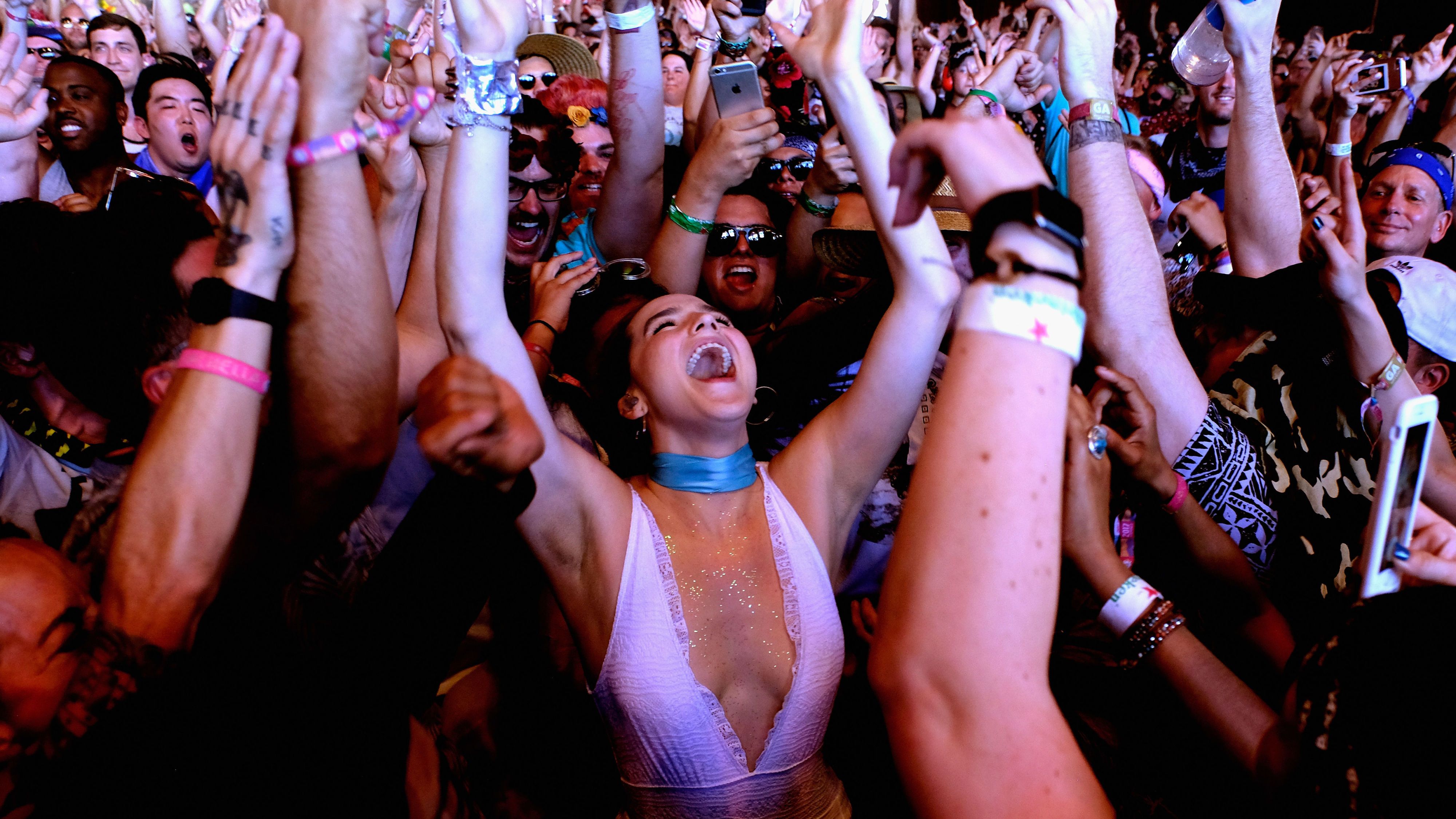 How the Music Festival VIP Pass Went From Luxury to Basic - WSJ