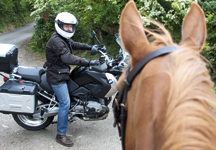 motorbike3.jpg