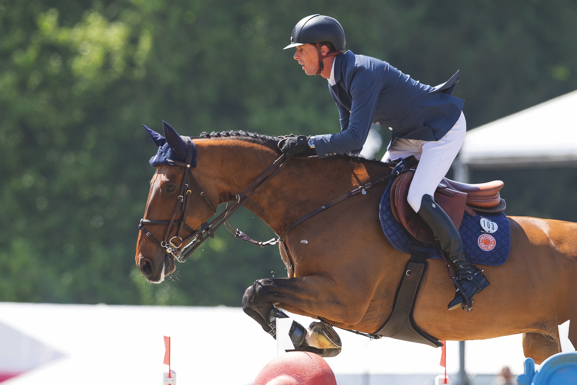 Ben Maher and Maddox VH Haringvliet Z jumping a fence