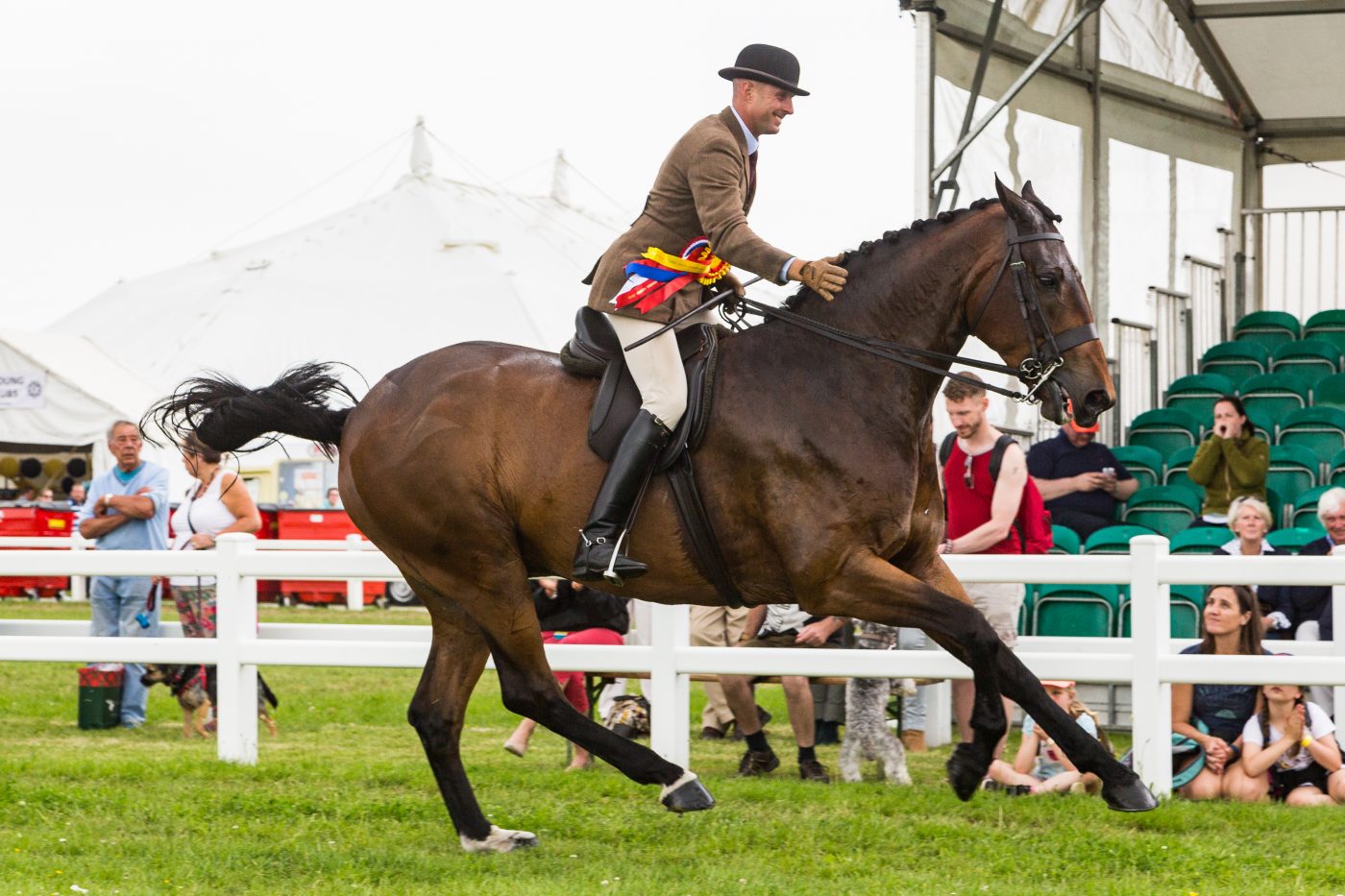 cornwall-hunter-champ-e1552650789622.jpg