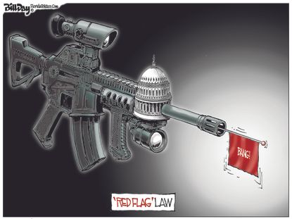 Political Cartoon U.S. Congress Assault Rifle Red Flag Laws Joke Gun