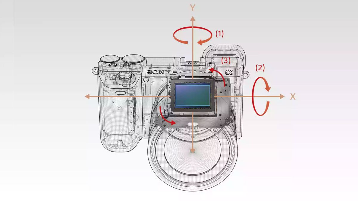 Sony A6000 vs A6100 vs A6300 vs A6400 vs A6500 vs A6600 how do you