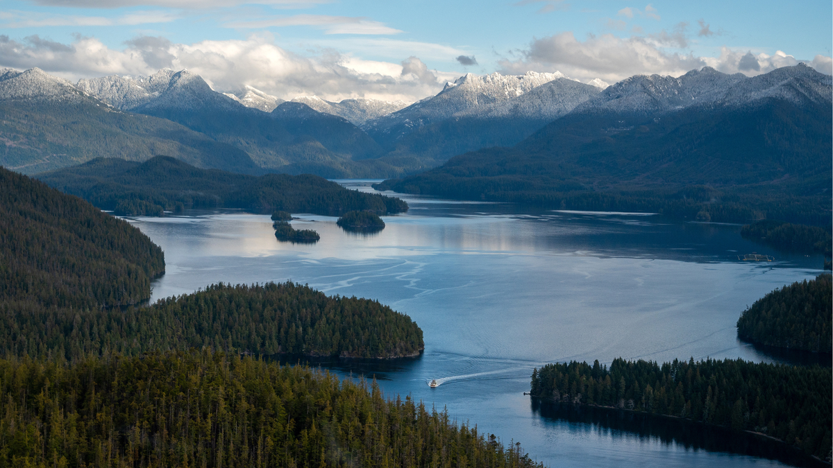 Explore Vancouver Island’s wild side