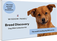 Wisdom Panel 3.0 Canine DNA Test  RRP: $84.99 | Now: $79.99 | Save: $5.00 (6%)
