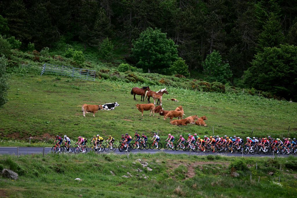 BRIVESCHARENSAC FRANCE JUNE 06 A general view of the peloton passing through the Le GerbierdeJonc 1415m during the 74th Criterium du Dauphine 2022 Stage 2 a 1698km stage from SaintPray to BrivesCharensac WorldTour Dauphin on June 06 2022 in BrivesCharensac France Photo by Dario BelingheriGetty Images