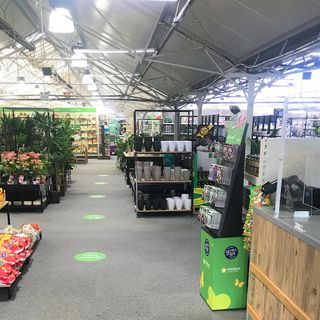 garden centre with supermarket with plants