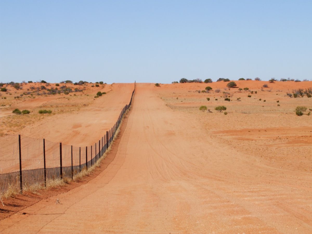 The dingo fence in Strzelecki Desert.