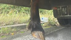 Lorry2.jpg