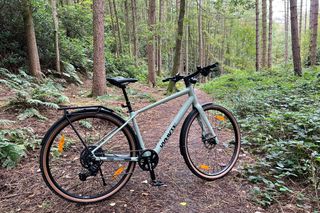 The Whyte RHeO 3 ebike in full in the woods