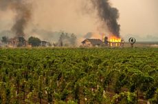 sonoma wildfires