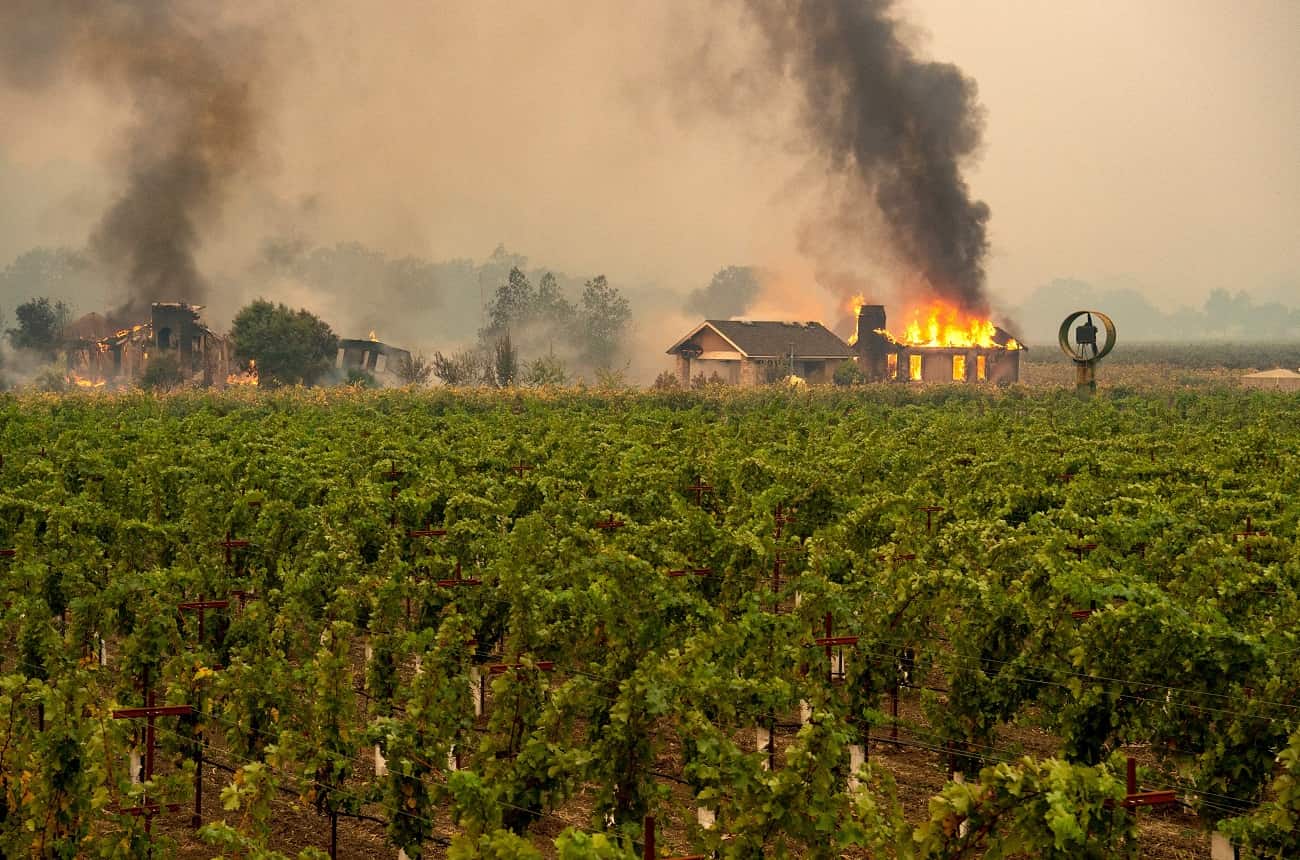 sonoma wildfires