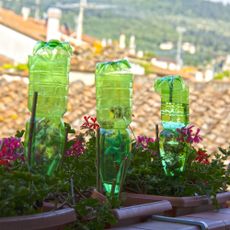 Three plastic bottles upside down in potted plants on a balcony