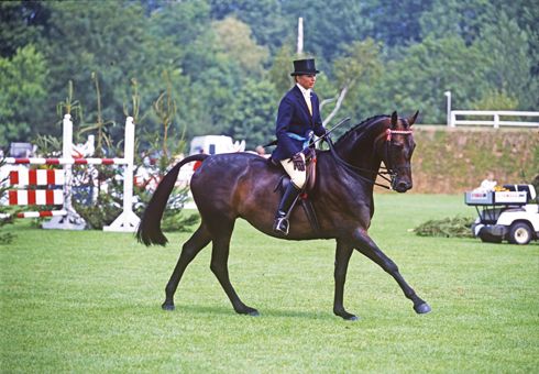 2002-broadstone-dee.jpg