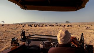 View from a 4x4 in Masai Mara, Kenya