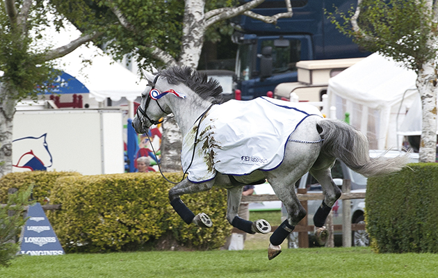 Janne-Friederike Meyer's horse runs loos&amp;rsaquo;e after falling during the lap of honour after winning the FEI Nations Cup of Great Britain
