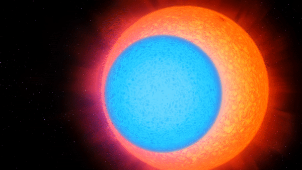 gif animation showing a pair of binary stars, one orange and one blue. 
