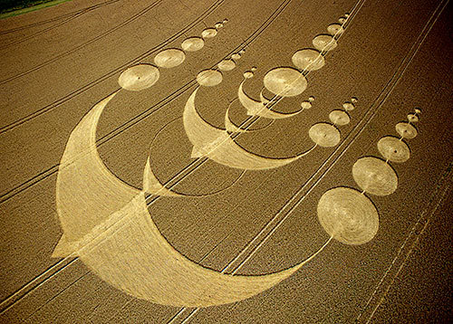 crop circle birds