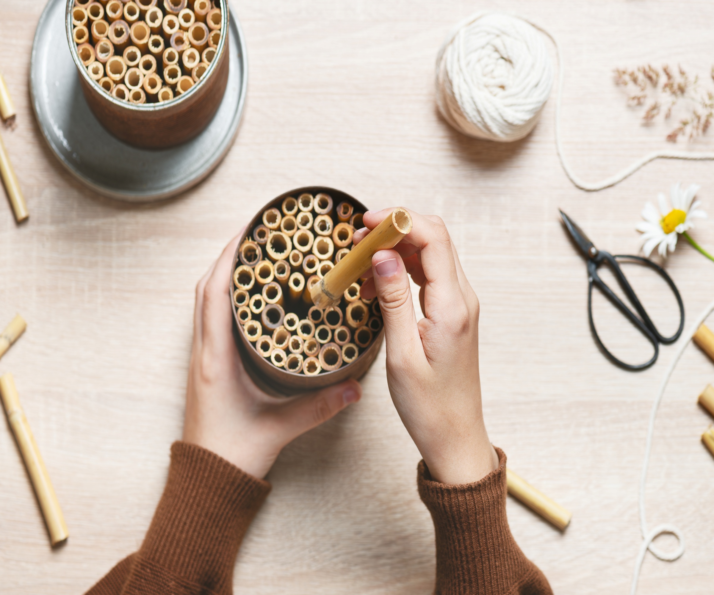 Woman&#039;s hands making a bug shelter out of bamboo canes and an old tin can